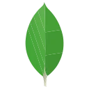 MongoDB